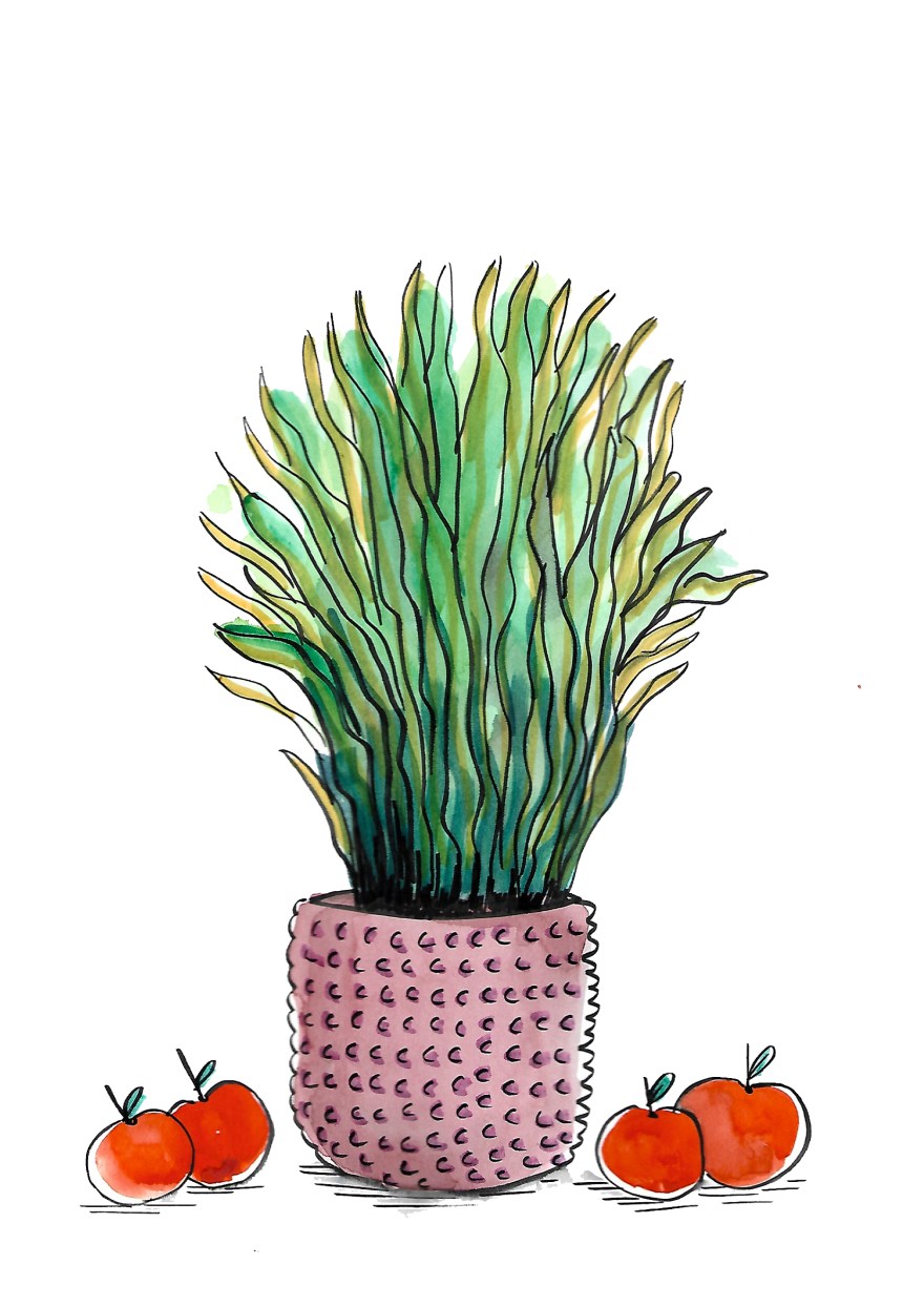 Imagen-escaneada-2web