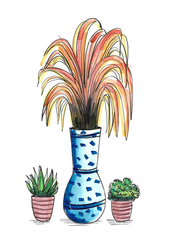 Imagen-escaneada-4web